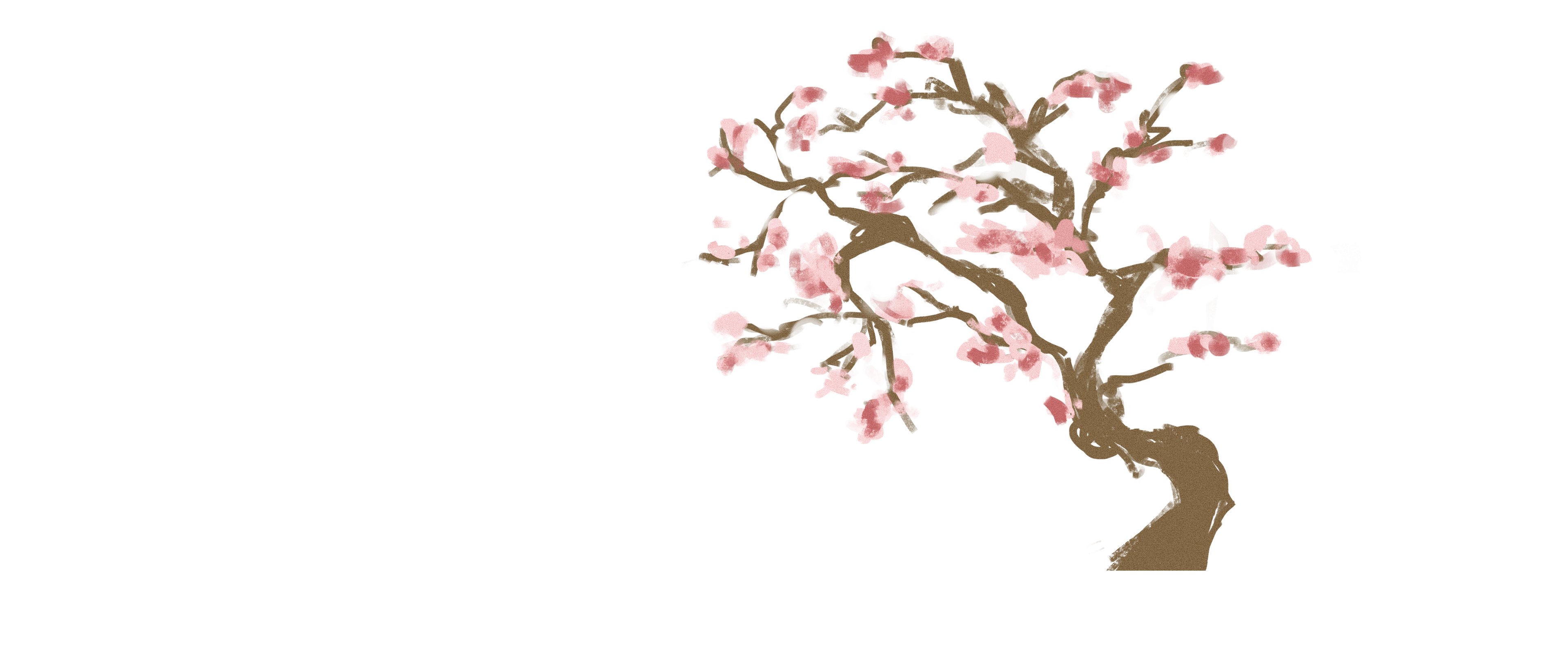 cherry blossom tree